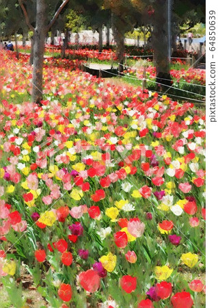 東京禦台場和符號海濱公園(3月)江東區的鬱金香花田 東京禦台場和符號海濱公園(3月)江東區的鬱金香花田 64850639