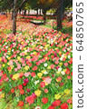 Flower fields of tulips in Odaiba and Symbol Promenade Park (March) Koto Ward, Tokyo 64850765