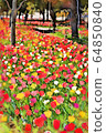 Flower fields of tulips in Odaiba and Symbol Promenade Park (March) Koto Ward, Tokyo 64850840
