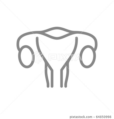 Woman uterus line icon. Healthy internal organ symbol 64850998