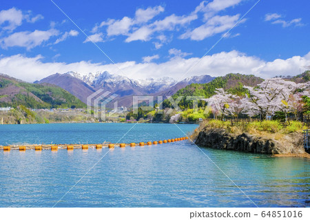 春季的阿瑪塔瑪水壩 64851016