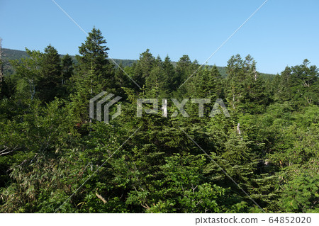 Aomori Todomatsu Forest Aomori Todomatsu Forest 64852020