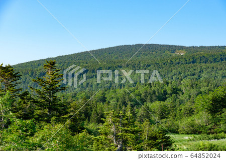 Aomori Todomatsu Forest Aomori Todomatsu Forest 64852024