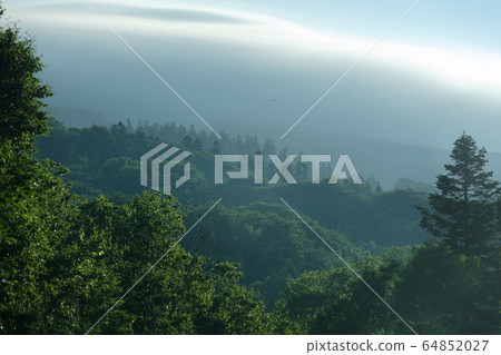 Aomori Todomatsu Forest Aomori Todomatsu Forest 64852027