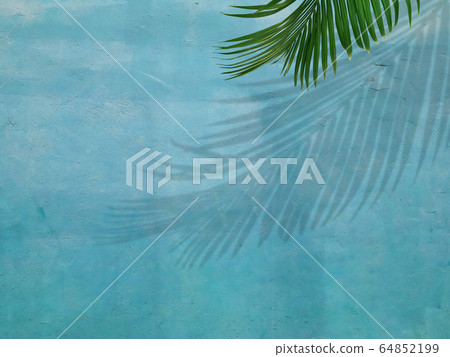 背景牆室內植物 64852199