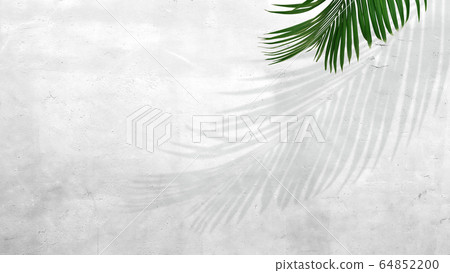 背景牆室內植物 背景牆室內植物 64852200