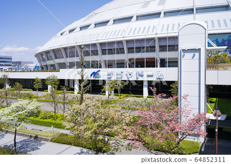 Vantelin Dome Nagoya Dome and Dogwood 64852311