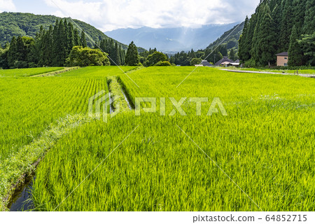 Shinshu Hakuba Village Summer Aoni Village Shinshu Hakuba Village Summer Aoni Village 64852715