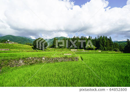 Shinshu Hakuba Village Summer Aoni Village Shinshu Hakuba Village Summer Aoni Village 64852800