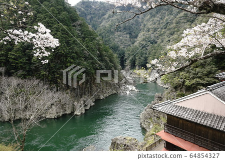 Takugo spring scenery Takugo spring scenery 64854327
