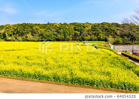 Exhibition Umiho Rape [Sasebo City, Nagasaki Prefecture] 64854328