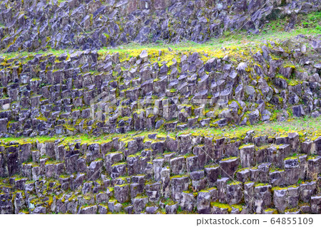 [Hagi Geopark] Ryuringo 64855109