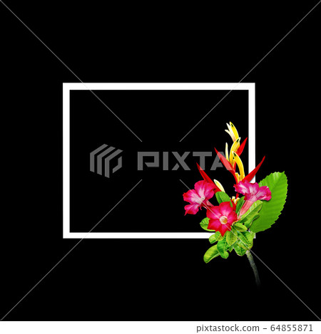 Red flowers with white frame for nature concept Red flowers with white frame for nature concept 64855871