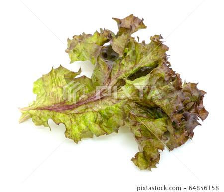 Red coral fresh lettuce leaves isolated on white Red coral fresh lettuce leaves isolated on white 64856158