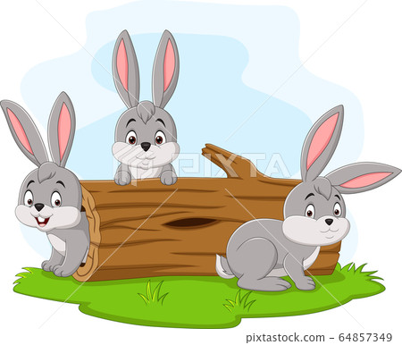 Three Rabbit Cartoon Playing In The Log Stock Illustration 64857349 Pixta