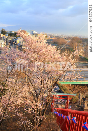 Inariyama Park Inariyama Park 64857921
