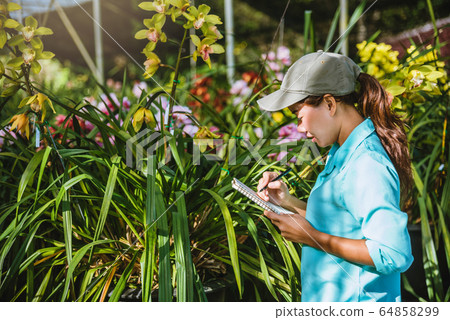 The girl notes the changes, orchid growth in the garden. The girl notes the changes, orchid growth in the garden. 64858299