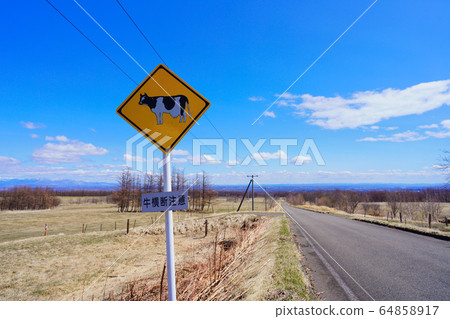 Cattle signs 64858917