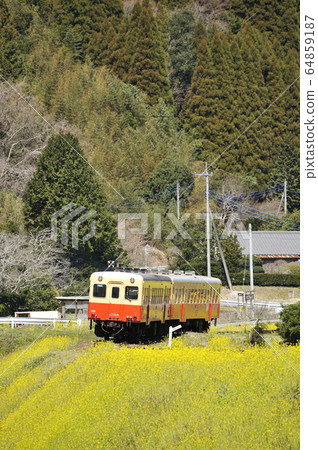 Kominato Railway Kiha 200 64859187