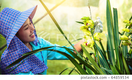 The young woman worker is taking care of the orchid flower in garden. The young woman worker is taking care of the orchid flower in garden. 64859534