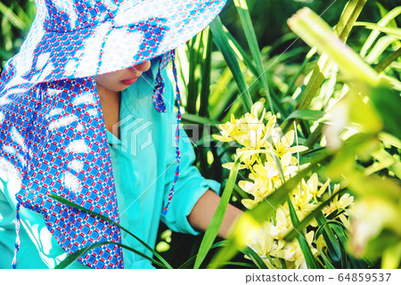 The young woman worker is taking care of the orchid flower in garden. The young woman worker is taking care of the orchid flower in garden. 64859537