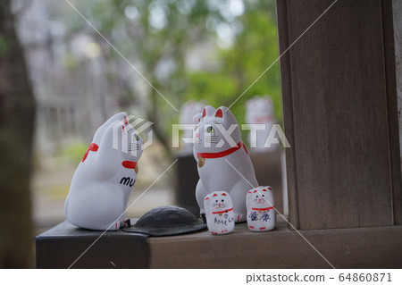Futatsukuji的幸運貓 64860871