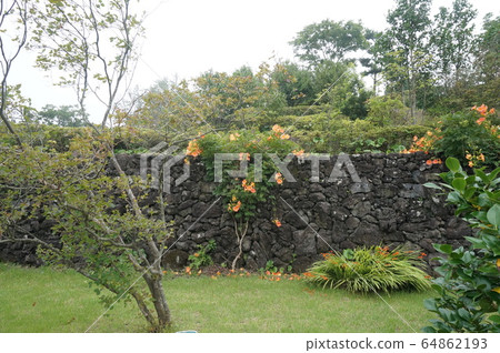 自然，風景，旅行，牆壁，石牆，樹木，植物 64862193