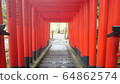 Akatorii in a Japanese garden 64862574