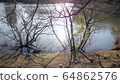Waterside of a pond in a residential area 64862576