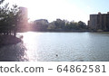 City park pond 64862581