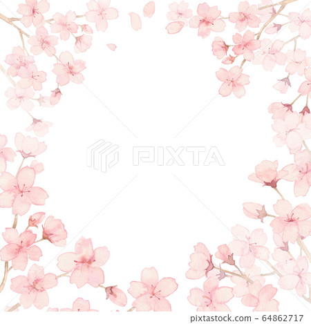 Cherry blossoms in full bloom, square Cherry blossoms in full bloom, square 64862717