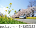 Rape road 64863382