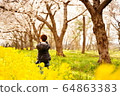 Rape road Akita 64863383