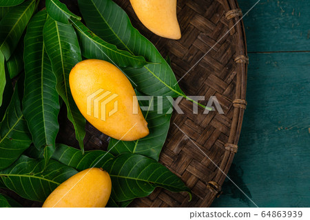Close-Up Of Mangoes on the leaf Close-Up Of Mangoes on the leaf 64863939