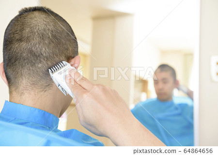 自切 自切 64864656