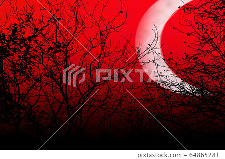 Occulture landscape silhouettes. Tree branches on Occulture landscape silhouettes. Tree branches on 64865281