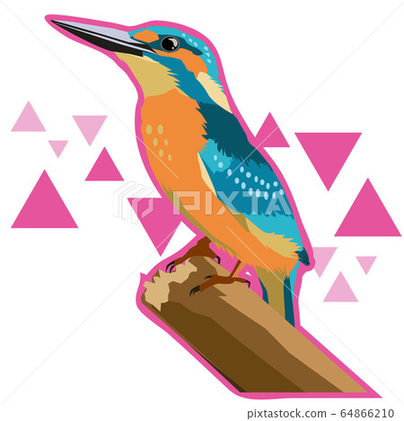 翠鳥與背景的插圖 64866210