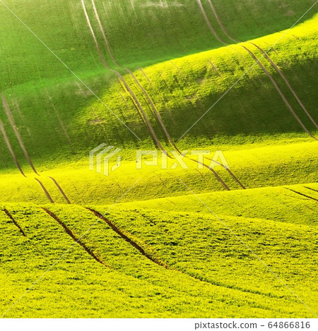 Green spring nature background with setting sun and grass. Waves on the field.  Moravian Tuscany - Czech Republic - Europe. 64866816