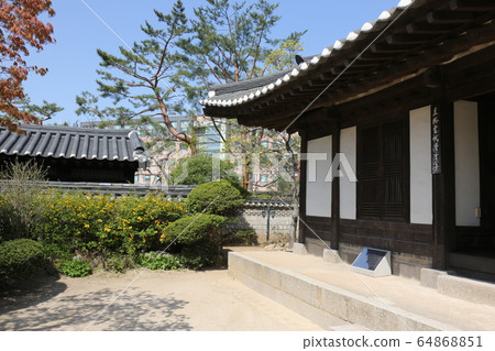 城北區正陵洞春天的花朵 城北區正陵洞春天的花朵 64868851
