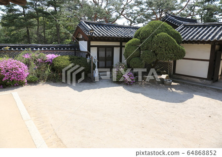 城北區正陵洞春天的花朵 城北區正陵洞春天的花朵 64868852