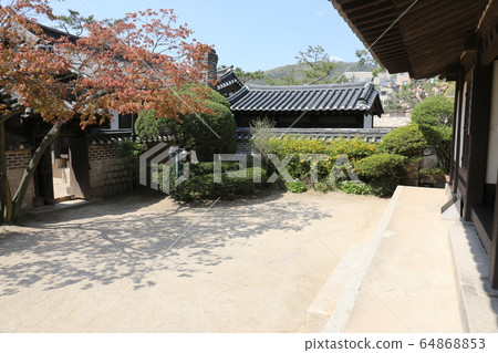 城北區正陵洞春天的花朵 城北區正陵洞春天的花朵 64868853