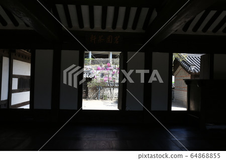 城北區正陵洞春天的花朵 城北區正陵洞春天的花朵 64868855