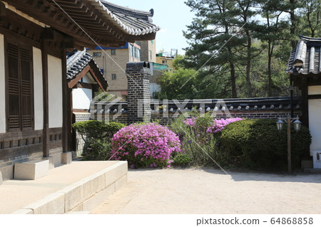 城北區正陵洞春天的花朵 城北區正陵洞春天的花朵 64868858