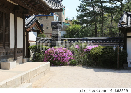 城北區正陵洞春天的花朵 城北區正陵洞春天的花朵 64868859