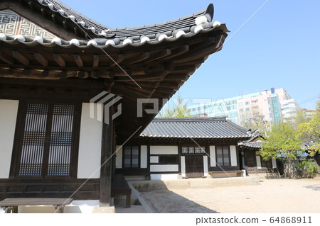 城北區正陵洞春天的花朵 城北區正陵洞春天的花朵 64868911