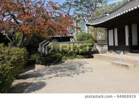城北區正陵洞春天的花朵 城北區正陵洞春天的花朵 64868919