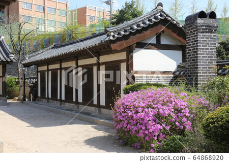 城北區正陵洞春天的花朵 64868920