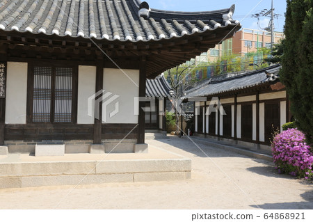 城北區正陵洞春天的花朵 城北區正陵洞春天的花朵 64868921