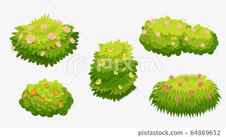Green bushes with various flowers. Green bushes with pink Green bushes with various flowers. Green bushes with pink 64869652