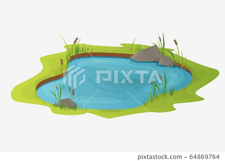 Picturesque water pond with reeds. The concept of an open small swamp 64869764